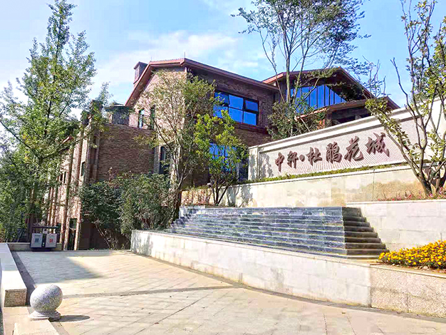 貴州畢節中軒杜鵑花城陽臺護欄項目